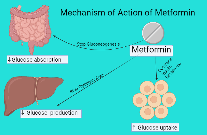 metformin hydrochloride prolonged release