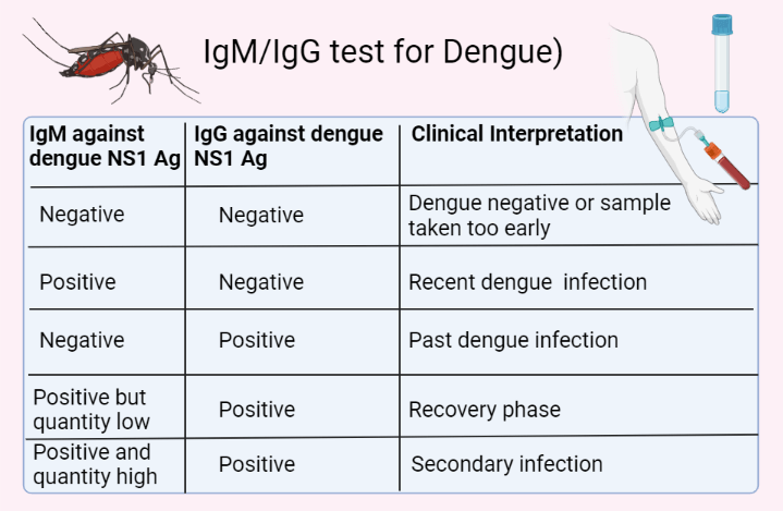 Signs of dengue fever