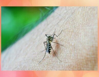 Signs of dengue fever