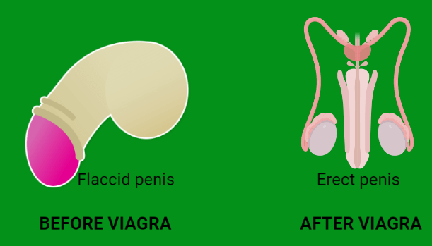 How Viagra tablet works