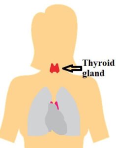 What are early warning signs of thyroid problems