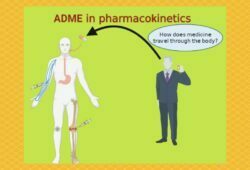 ADME in Pharmacokinetics