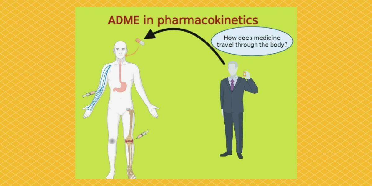 ADME in Pharmacokinetics