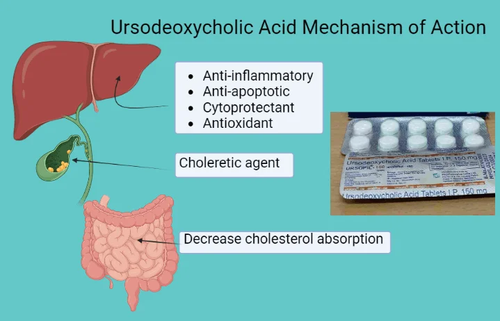 Ursodeoxycholic acid tablet 